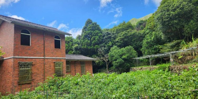 陽明山竹子湖美食推薦 陽明山賞花必訪景觀餐廳季節限定花景