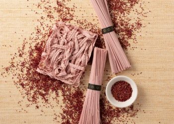 潮州伴手禮必買 屏東無添加麵條麵線老字號 彩色麵條好吃又好看