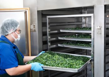 健康飲食新趨勢 薑博士定義「極簡健康學」