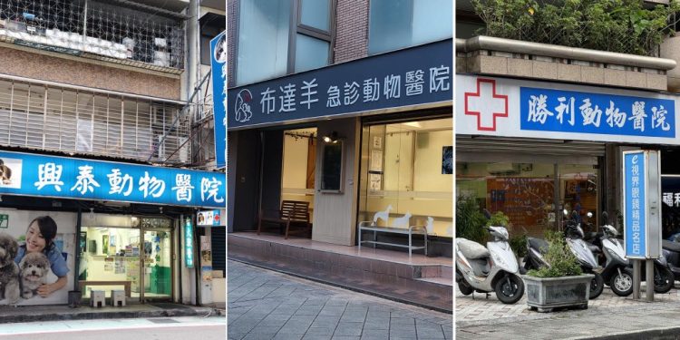 從陪伴走向照護  寵物醫療逐步融入現代生活日常