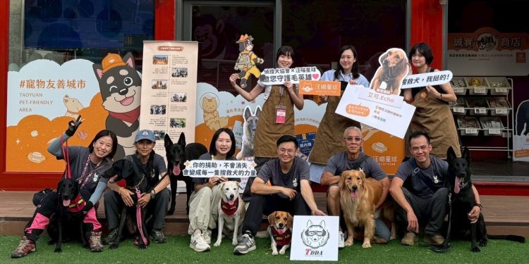 毛英雄陪球迷加油！搜救犬走進球場應援公益行動
