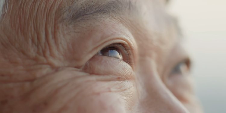 台灣快速邁入超高齡社會！約8萬熟齡族可能因老年性黃斑部病變面臨視力挑戰