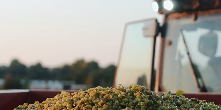 法國原裝葡萄酒歡慶來台10週年 輕享微醺的法式浪漫