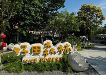 彰化景點｜週末療癒新玩法 解鎖彰化田尾一日遊路線，森林樂園、霜淇淋、煮茶美拍