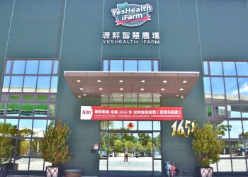 桃園二日遊｜慢活雙日之旅 跟著外國網紅體驗智慧健康體驗遊程 感受台灣美好