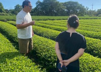 苗栗縣府品牌化策略助農產接軌國際 貓裏紅、東方美人進軍新加坡餐飲