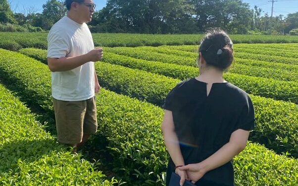 苗栗縣府品牌化策略助農產接軌國際 貓裏紅、東方美人進軍新加坡餐飲
