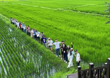 「尋Way花路」街區走讀活動報名踴躍深獲好評