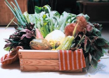 原住民小農電商平台 產地直送蔬果 友善土地 蔬菜宅配推薦