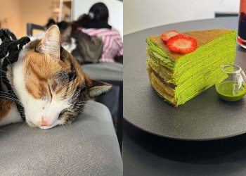 台北咖啡廳｜週末看展後的必備行程 華山周邊咖啡廳推薦 網友激推 ABOUT H Coffee、特有種商行電影咖啡館