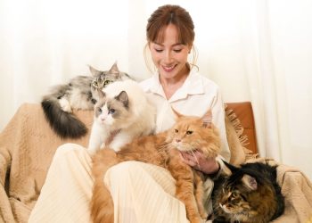 NMN不再單打獨鬥！璽玥生醫 Jadever「結構型配方」 推出多元營養新選擇 守護毛孩日常健康