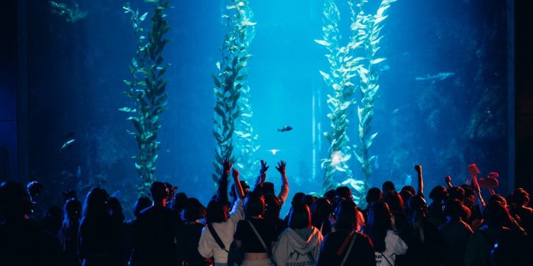 讓腳步跟著浪!海生館25週年 舉辦「海洋生活祭」點亮恆春夜