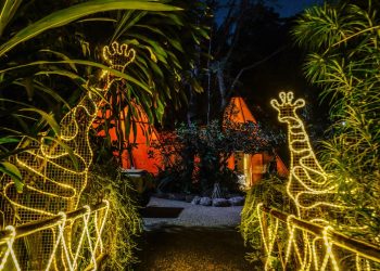 可樂旅遊春節限定包場派對 新加坡動物世界親子遊