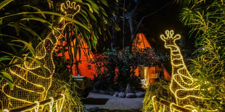 可樂旅遊春節限定包場派對 新加坡動物世界親子遊