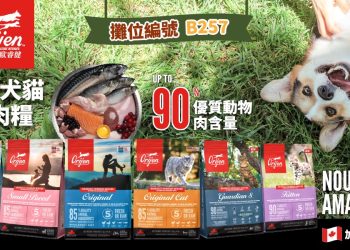 毛孩搶雙11補貨！本週台北世貿寵物展10/31-11/3超越雙11囤貨節