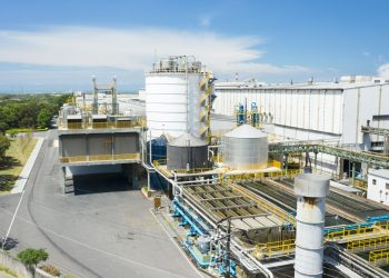 廚餘禁令下的轉型風暴 廚餘生質能化為解方