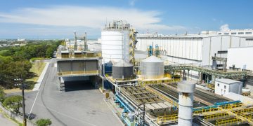 廚餘禁令下的轉型風暴 廚餘生質能化為解方