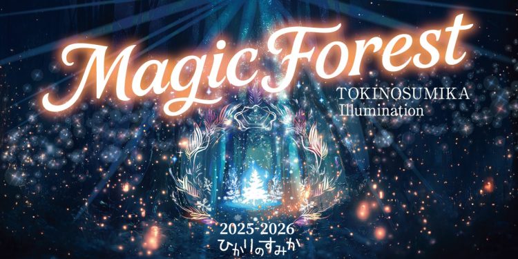 550萬顆燈光點亮「魔法森林」日本最靠近富士山的冬季燈飾節開幕