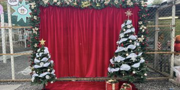 宜蘭首創「策展式」萌寵樂園！星夢森林劇場變身聖誕夢境