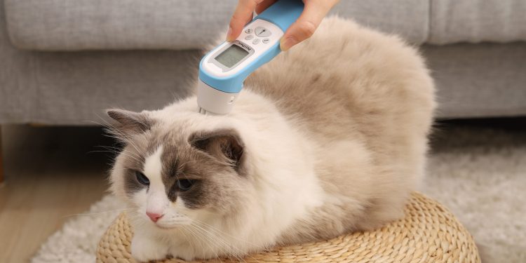 台北寵物節聚焦創新技術 PetiMeti智能按摩梳引領健康新浪潮