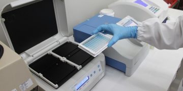 標準生技聯手偉喬生醫 亞太腎臟醫學會公開腸腎軸防護網