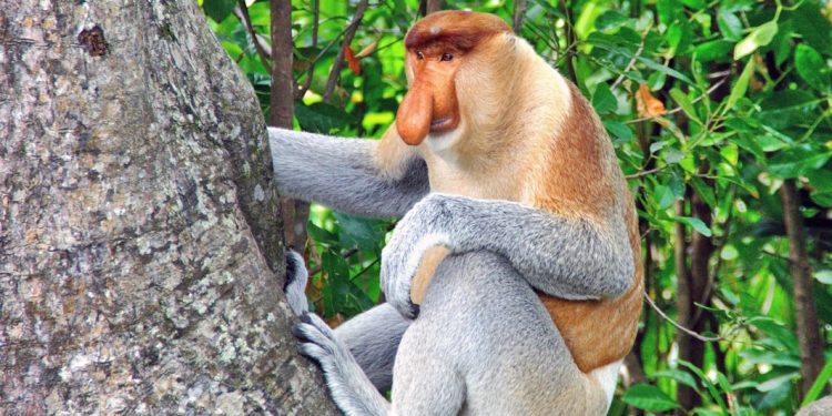 「深度汶萊 × 趣玩沙巴」一次收藏雙國風情 跨國海島旅遊首選