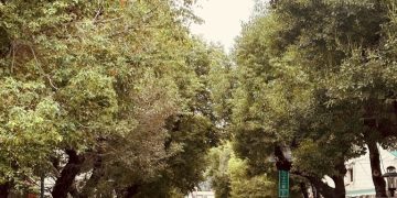 台中最夯尋寶街弄！精誠22街的慢步散策，一步一風景