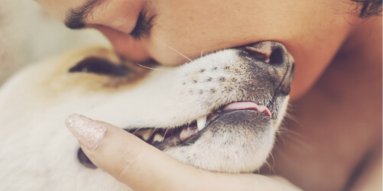 浪浪狗緣：打造透明救援平台，為浪浪爭取第二次機會