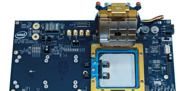 AI 算力基礎設施黑馬！Credo Technology Group 股價翻倍後驚現 5% 閃崩  華爾街兩極激辯：是「黃金坑」還是「泡沫巔峰」？