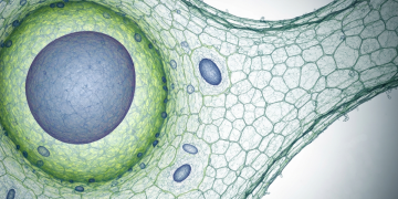 美國次世代基因定序市場爆發 2034年上看200億美元