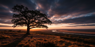 太陽能技術躍進：雙面發電、浮動電廠成新趨勢