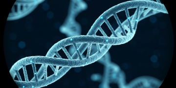 血液檢測新突破!AI 分析 piRNA 可預測老年人兩年存活率