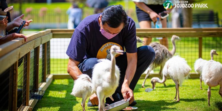 宜蘭萌寵農場風暴後的曙光！九九峰動物樂園「生命守護計畫」 專業醫療接手確保動物福祉