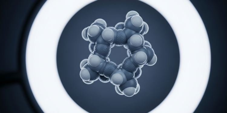 研究：調整飲食或可不靠運動燃燒脂肪 南丹麥大學新發現