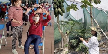 長照 青農雙棲戰將!洪雅婷參選彰化議員「4大政見」拚產業升級