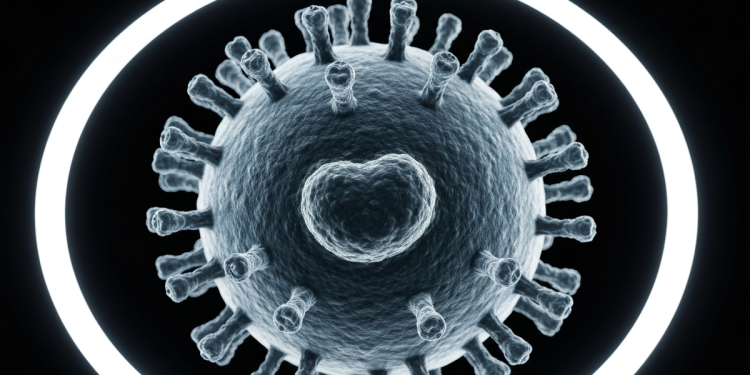 研究:接種HPV疫苗者 子宮頸癌篩檢間隔可大幅延長