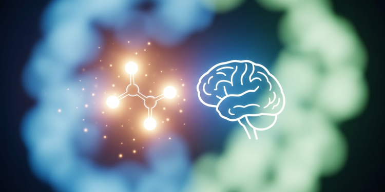 川普簽署迷幻藥物研究行政命令 望助退役軍人心理健康但安全引關注