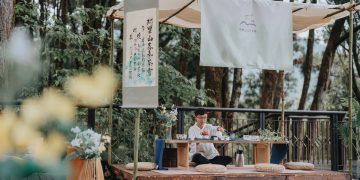 阿里山115年四季茶旅全新啟航！「春季茶會」引領小小茶師走入百年肖楠林