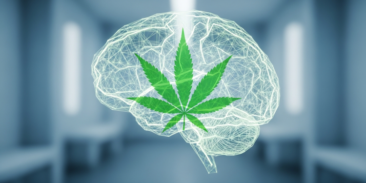 醫用大麻治療精神疾患？澳洲研究：證據有限且存風險