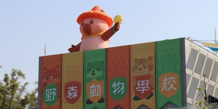 高雄一日遊｜最新親子景點「野森動物學校 」3月正式開放 狐獴互動、狐狸谷、栗翅鷹上手體驗＋內門美食一日遊