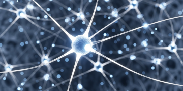 阿茲海默症新藥 Leqembi 表現亮眼 百健與衛材銷售成長 74%