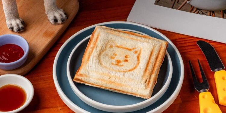 羅東寵物友善餐廳：柴犬陪吃早午餐 百元鮮食讓毛孩落地同樂