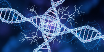 奧勒岡大學開發 AI 模型 解讀 DNA 序列重建生物演化脈絡