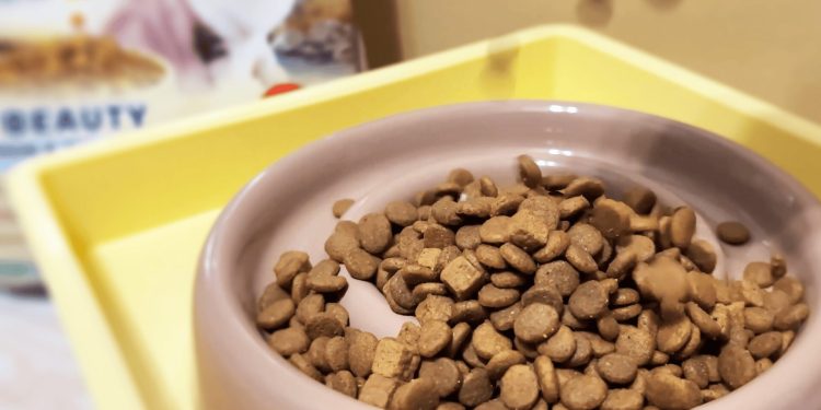 貓奴變身「營養審核員」機能糧成新趨勢卡咪哇全能方塊糧滿足需求