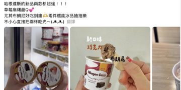Threads狂推哈根達斯爆紅新品 草莓麻糬、巧克力布朗尼 一回神就掃光兩杯！