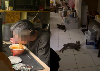 半夜男友突然消失！她開門驚見「三貓守門」 一轉頭：原來躲著偷做這檔事