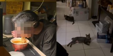 半夜男友突然消失！她開門驚見「三貓守門」 一轉頭：原來躲著偷做這檔事