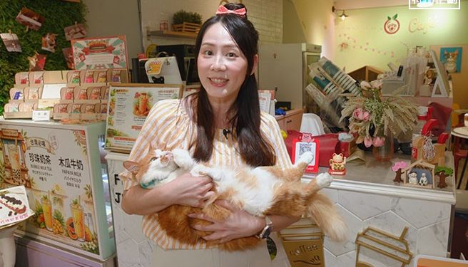 出門不用帶現金！探索山城之美 TWQR一掃即付輕鬆玩