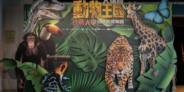 世界級自然史特展來台首展 《動物王國大探險展》結合ESG與沉浸體驗