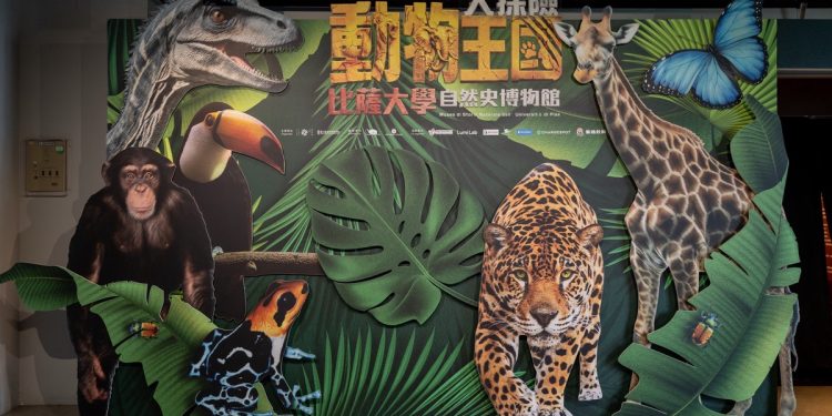 世界級自然史特展來台首展 《動物王國大探險展》結合ESG與沉浸體驗